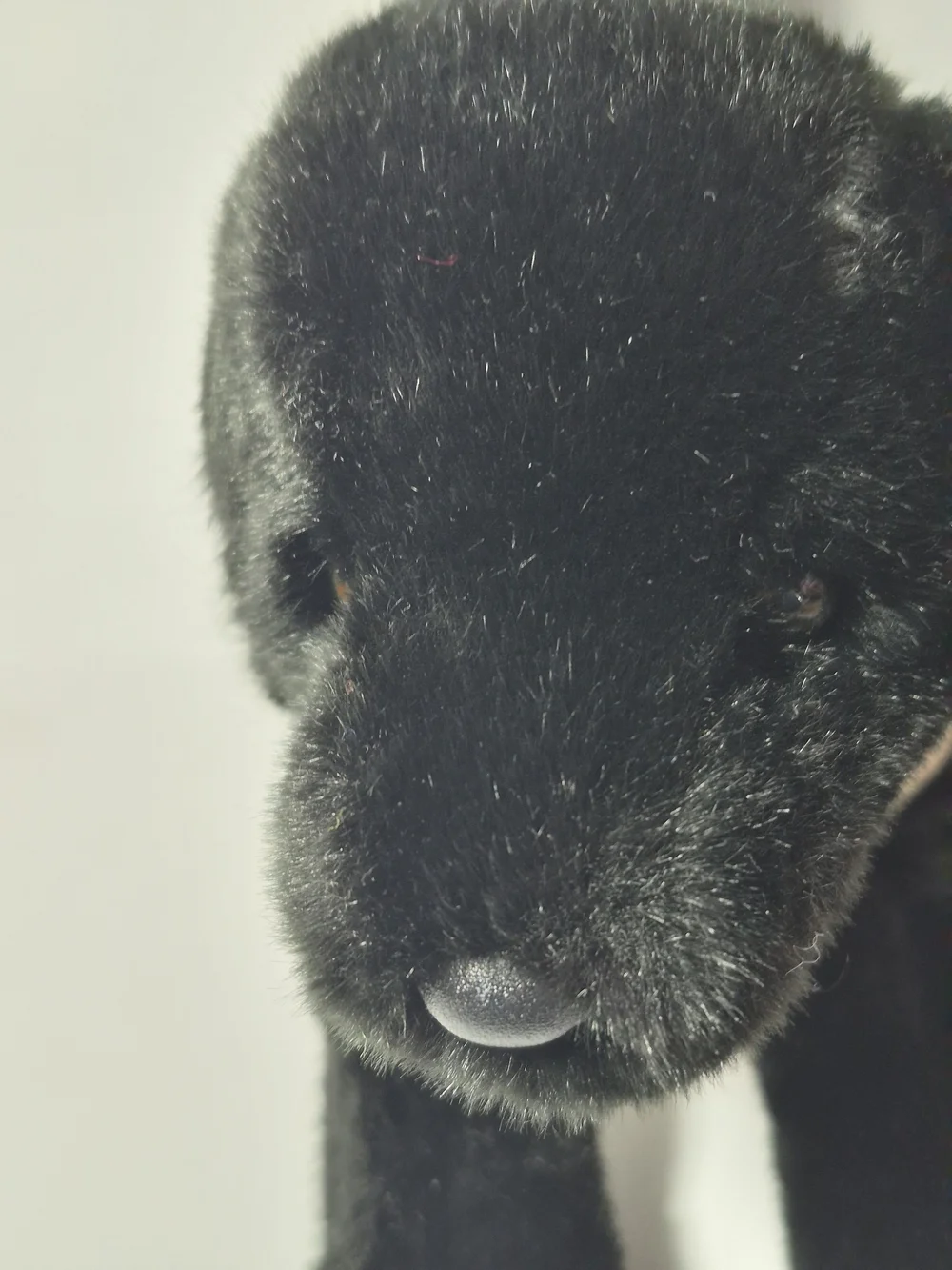 Douglas Cuddle Toys Black Lab 10